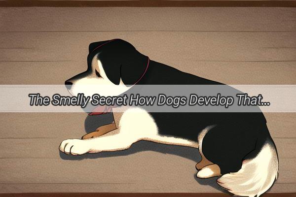 The Smelly Secret How Dogs Develop That Unforgettable Stench